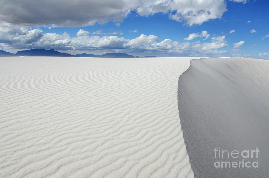 Sand Dune Magic 5 Photograph by Bob Christopher