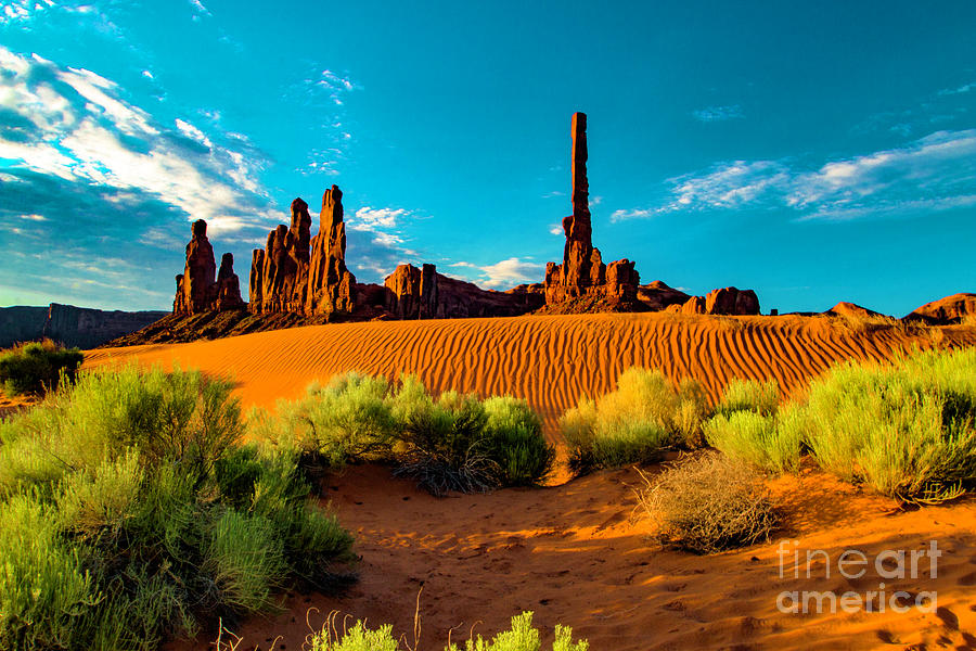 Sand Dune Photograph by Mark Jackson