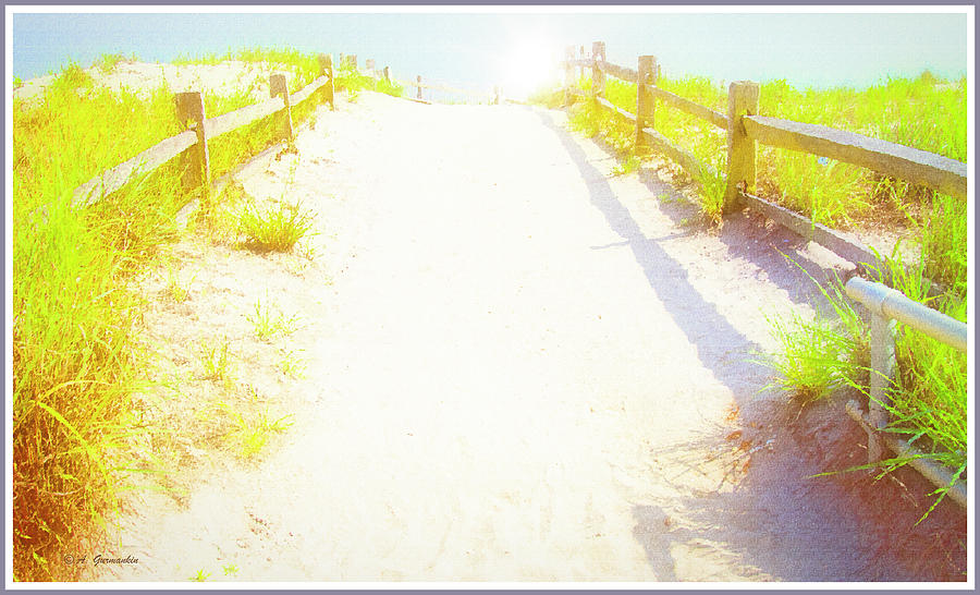 Sand Dune Path, Sunny Afternoon Digital Art by A Macarthur Gurmankin