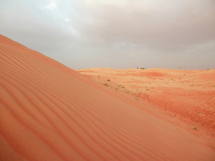 Sand Dune Photograph by Pema Hou