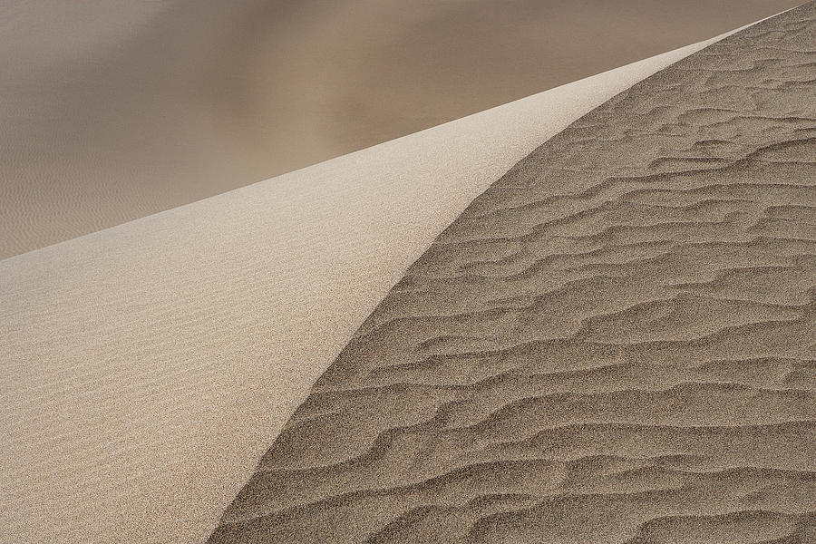 Sand Dune Ridge Line Photograph by Naoki Aiba