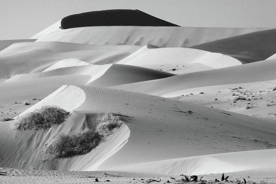 Sand Dune Sculptures - Namibia Photograph by Aidan Moran