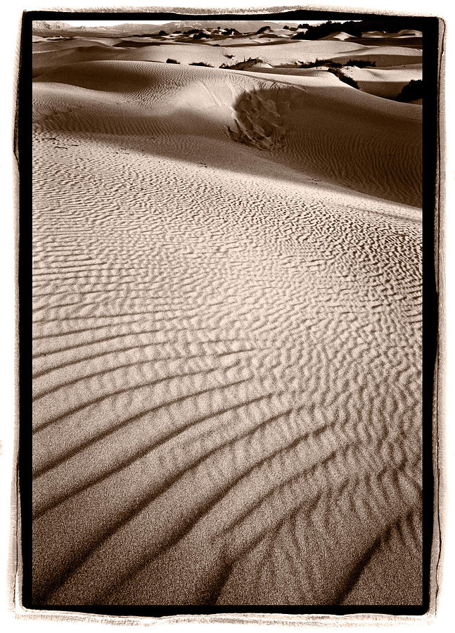 Sand Dune Shadows Death Valley Photograph by Steve Gadomski
