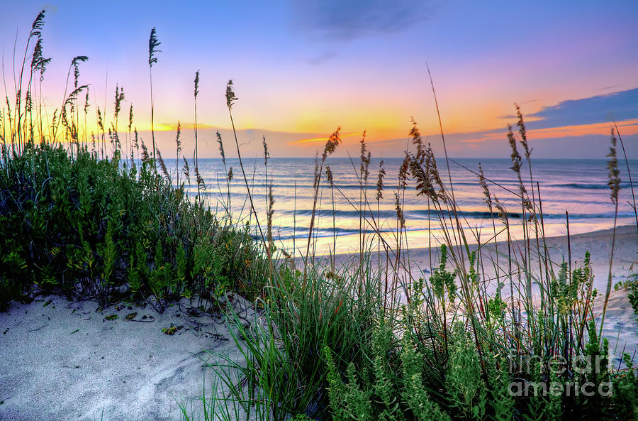 Sand Dune Sunrise On The Outer Banks Photograph by Dan Carmichael