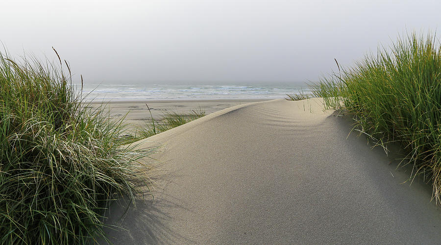 Sand Dune To The Ocean Photograph by Athena Mckinzie - Fine Art America