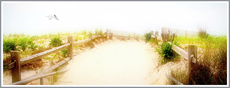 Sand Dune Trail, Hazy Summer Afternoon, New Jersey Shore Digital Art by A Macarthur Gurmankin