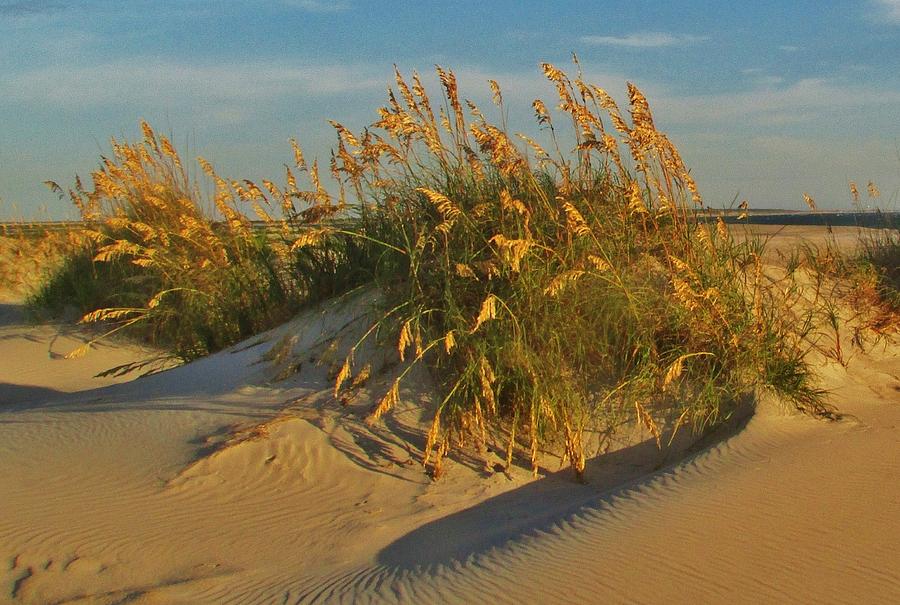 Sand Dune with Sea Oats Photograph by Thomas  McGuire