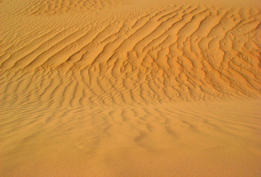 Desert Photograph - Sand Dunes - Lines of Aging by Allison Whitener