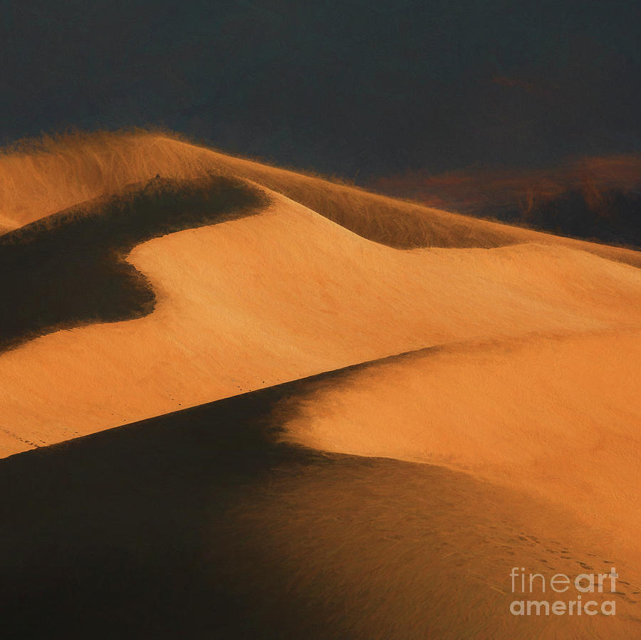 Sand Dunes Abstract Photograph by Philip Preston