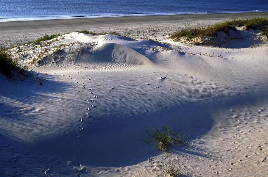 Sand Dunes and Beach Photograph by Sally Weigand - Fine Art America