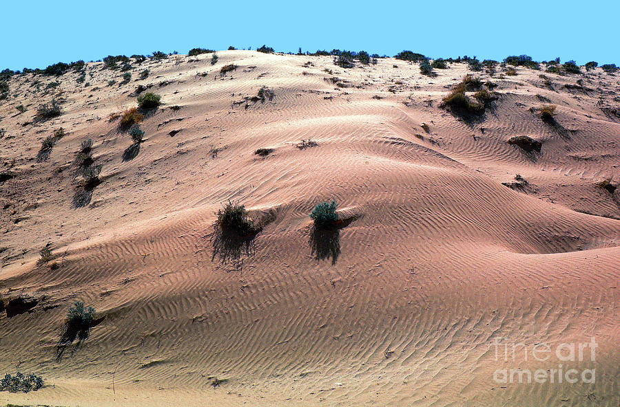 Sand Dunes and Ripples Photograph by Wernher Krutein