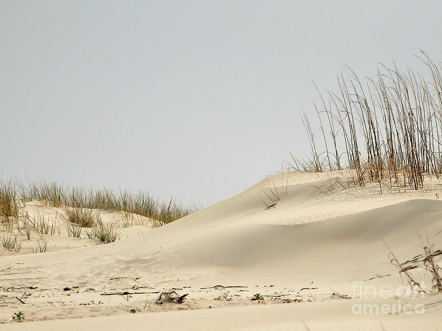Sand Dunes and Sea Oats Photograph by Al Powell Photography USA