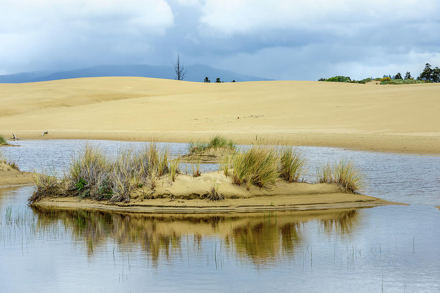 Sand Dunes and Water Photograph by Jerry Cahill