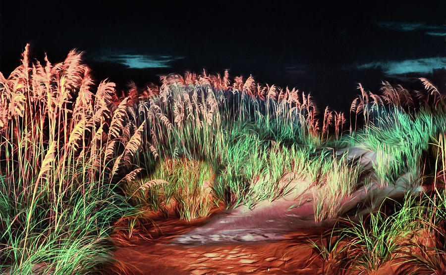 Sand Dunes at Night on the Outer Banks AP Painting by Dan Carmichael