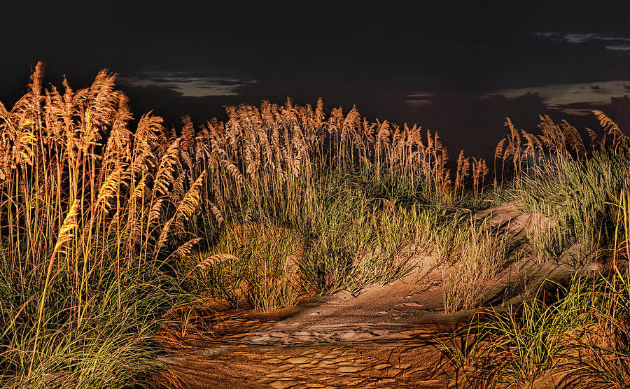 Sand Dunes at Night on the Outer Banks Photograph by Dan Carmichael
