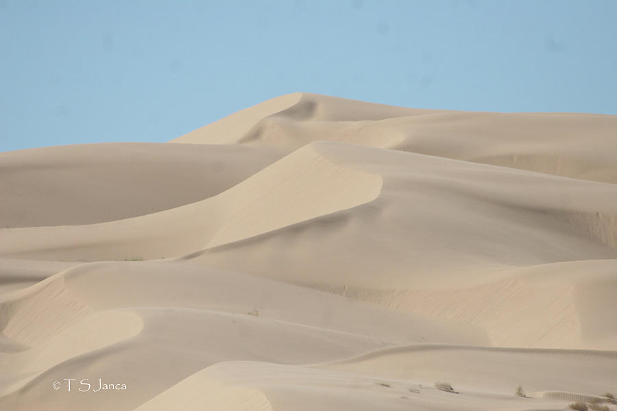 Sand Dunes California Digital Art by Tom Janca