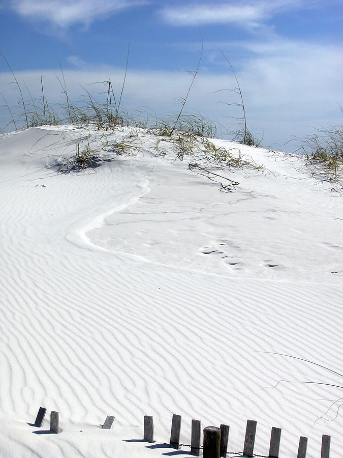Sand Dunes Dream 2 Photograph by Marie Hicks
