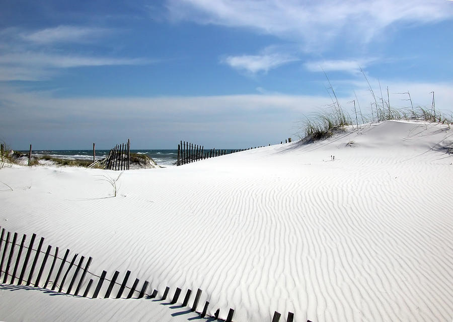Sand Dunes Dream Photograph by Marie Hicks