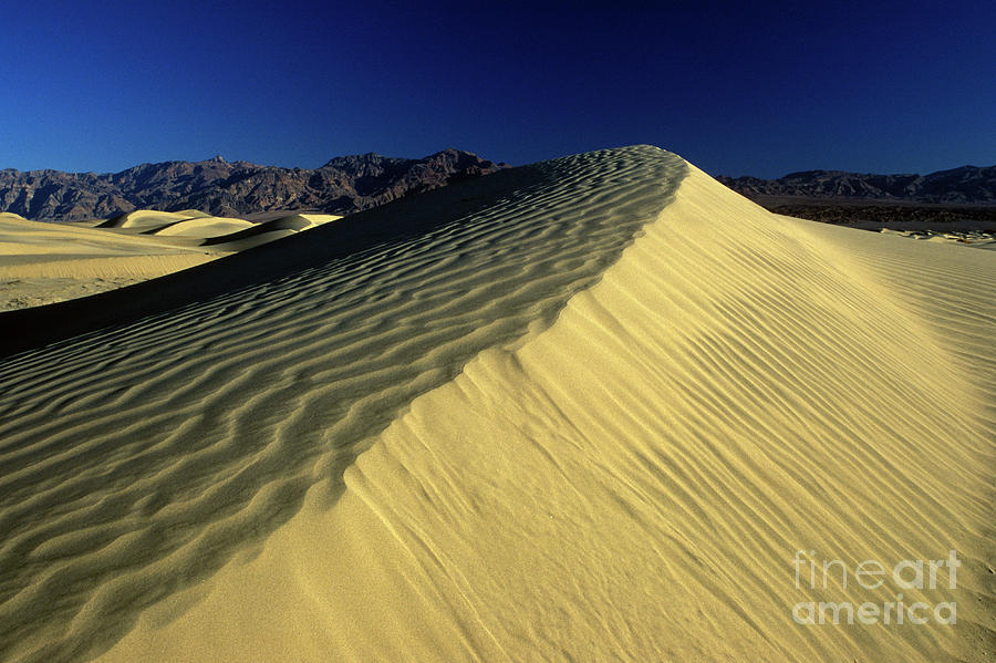 Desert Photograph - Sand Dunes by Jim And Emily Bush