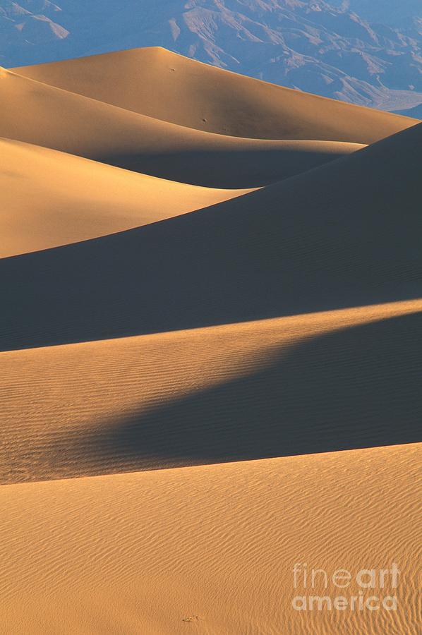 Sand Dunes Photograph by Greg Vaughn - Printscapes
