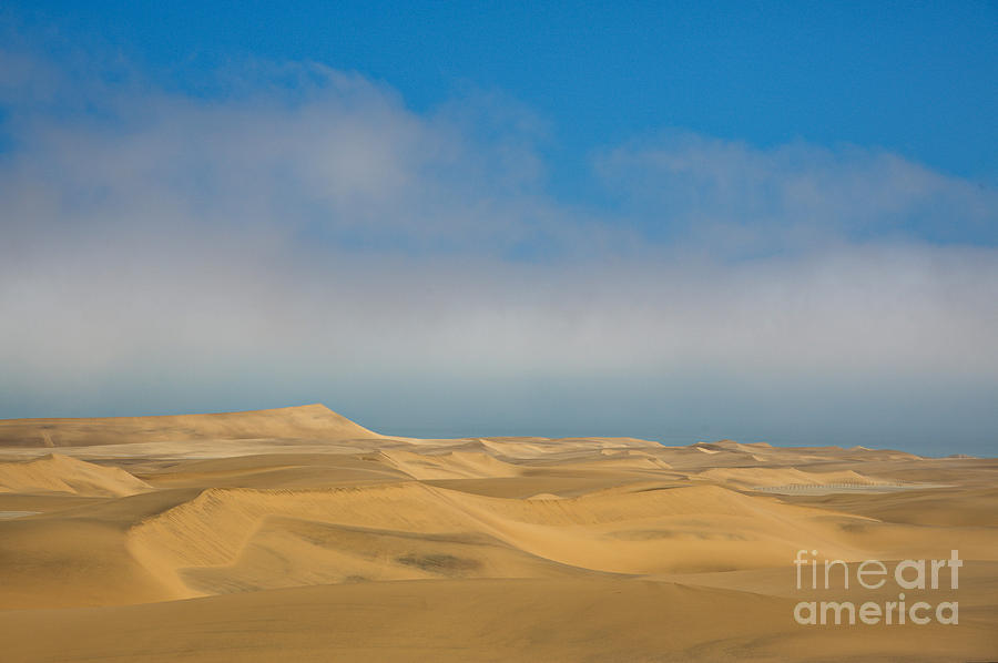 Sand Dunes In Namib Desert Photograph by Francesco Tomasinelli