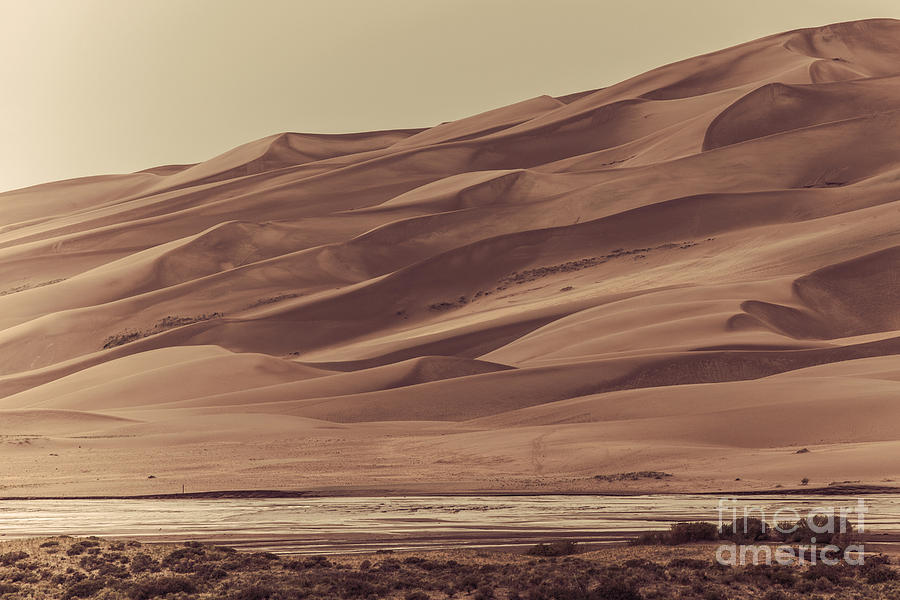 Sand Dunes in Sepia Photograph by Lynn Sprowl