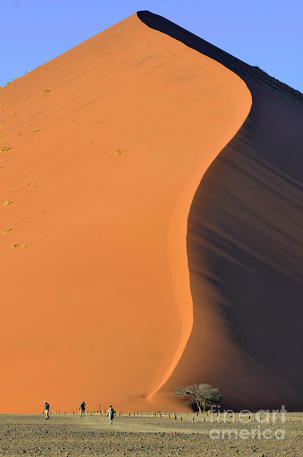 Sand Dunes In Sossusvlei Photograph by Francesco Tomasinelli