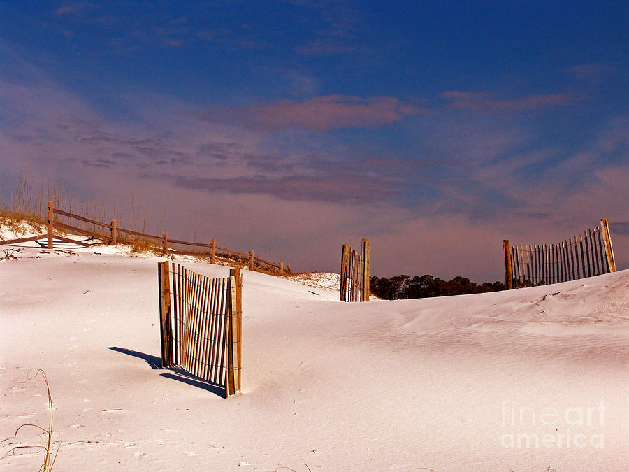 Sand Dunes Photograph by Jim Sweida
