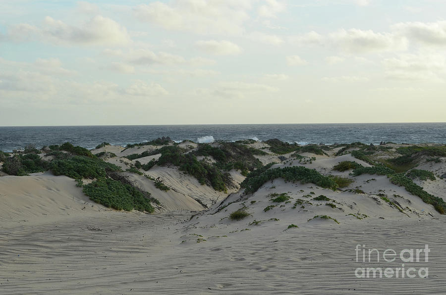 Sand Dunes Located on the North Coast of Aruba Photograph by DejaVu Designs