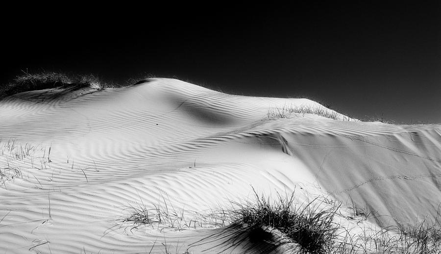 Sand Photograph - Sand Dunes by Mihai Florea Sand Photograph - Sand Dunes by Mihai Florea