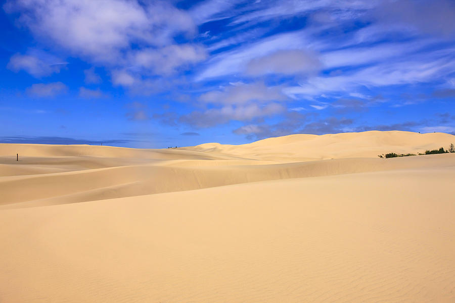 Sand dunes of Oregon Photograph by Chris Smith