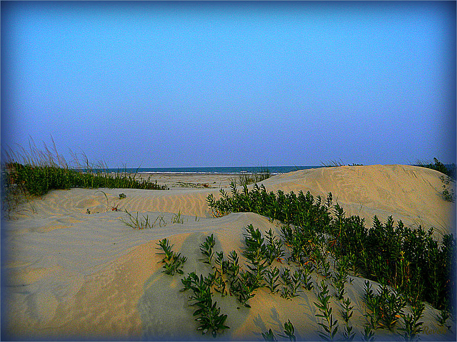 Sand Dunes of Sullivan Photograph by Leslie Revels
