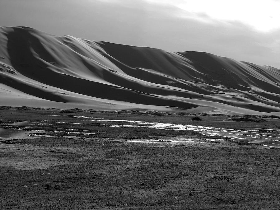 Sand Dunes of the Gobi Photograph by Diane Height