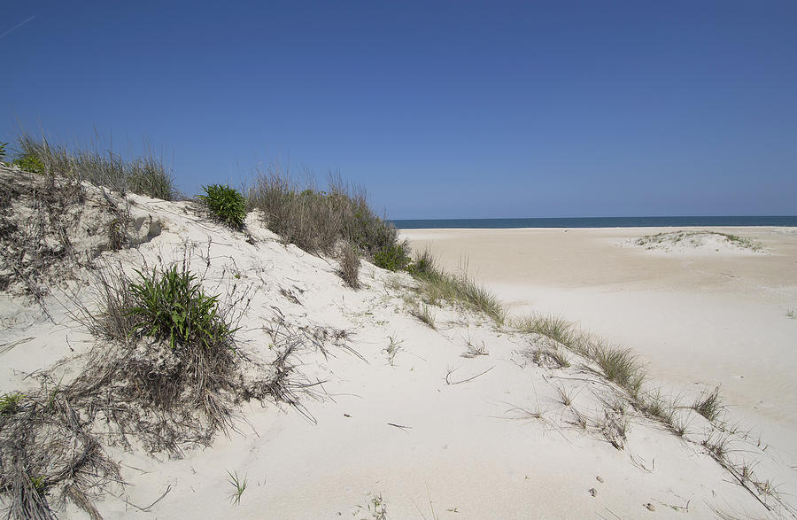 Sand Dunes on Assateague Island National Seashore - Maryland Photograph by Brendan Reals