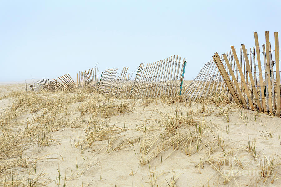 Sand dunes on Chatham Beach Photograph by Edward Fielding