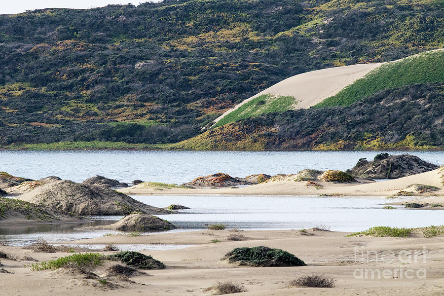 Sand Dunes Photograph - Sand Dunes on Morro Bay  7a9481 by Stephen Parker