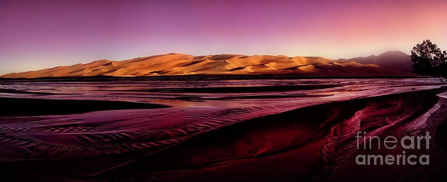 Sand Dunes Pano Photograph by Timothy Hacker
