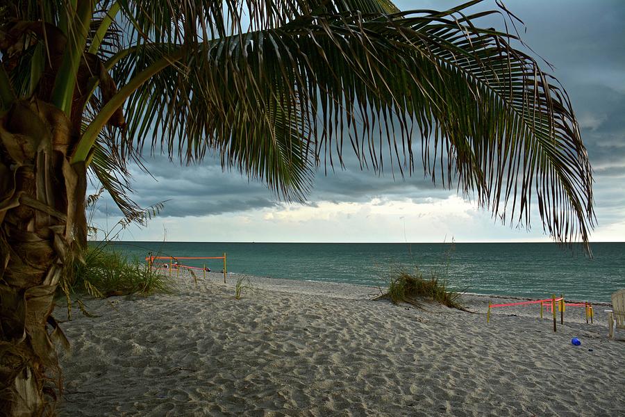 Sand Dunes, Sea Turtle Nests, and Storm Clouds Photograph by Carol Bradley