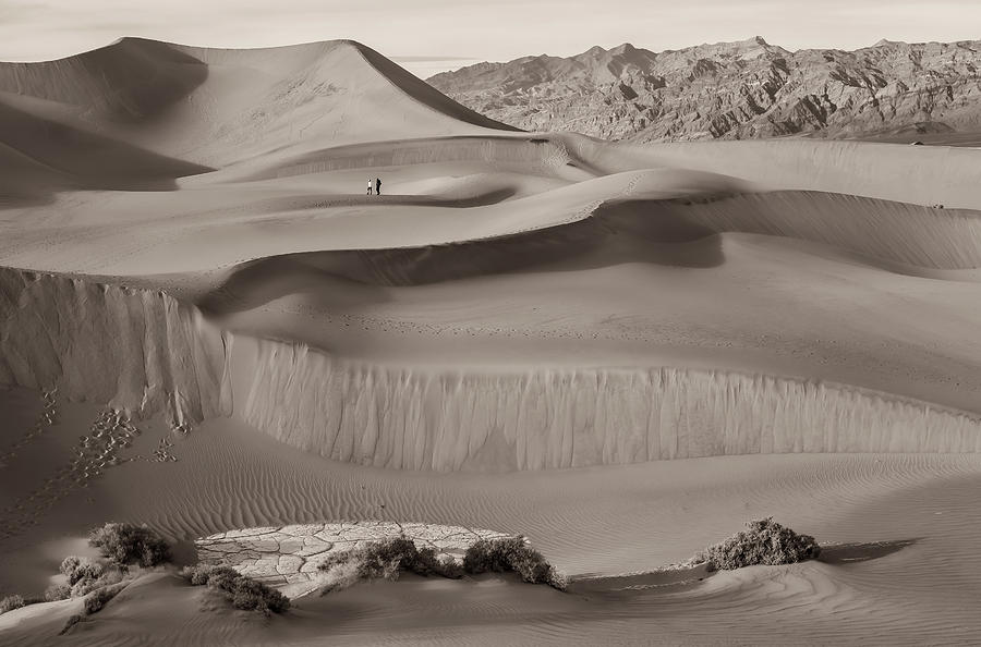 Sand Dunes Sepia Photograph by Jonathan Nguyen