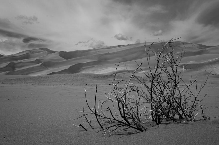 Sand Dunes Photograph by Stephen Holst