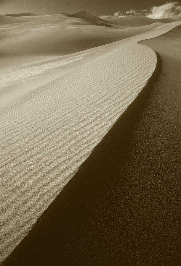Death Valley Sand Dunes Photograph by Steve Williams