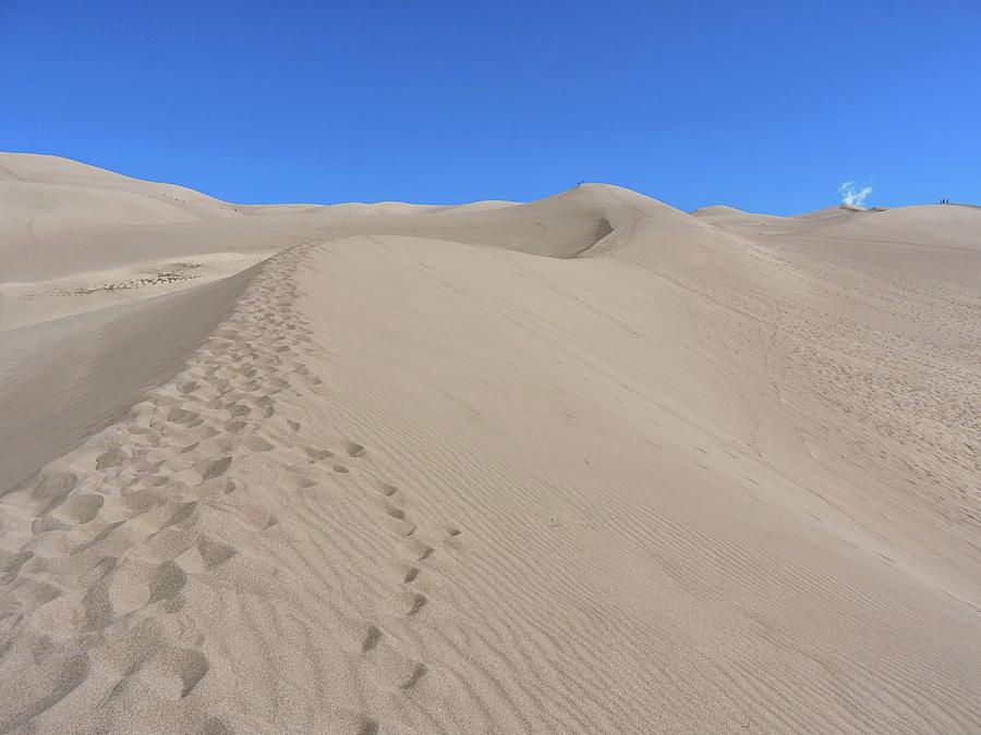 Sand Dunes Trail Photograph by Connor Beekman