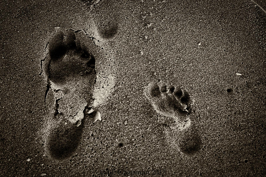 Sand Feet Photograph by Lora Lee Chapman