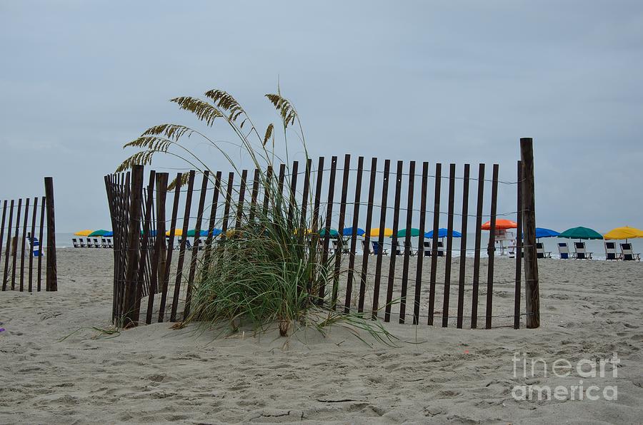 Sand Fence Barricade Photograph by Bob Sample