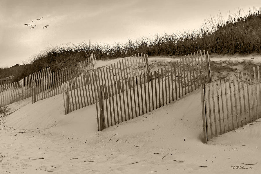 Sand Fences - Sepia Photograph by Brian Wallace - Pixels