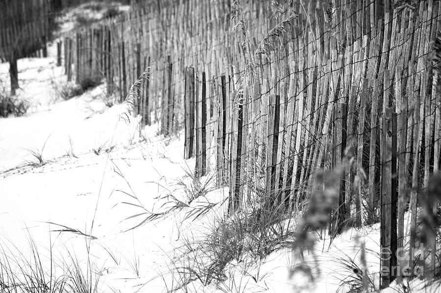 Sand Fencing Preventing Beach Erosion Destin Florida Black and White Photograph by Shawn OBrien