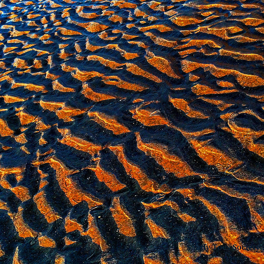 Sand Formations Photograph By Mary Lewis Fine Art America