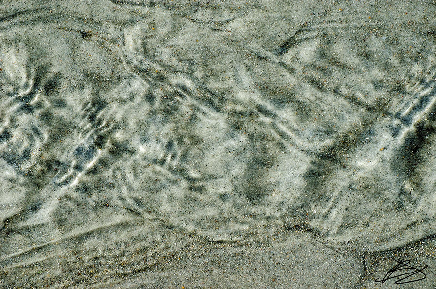 Sand Pattern #1 Photograph by Bradley Dever