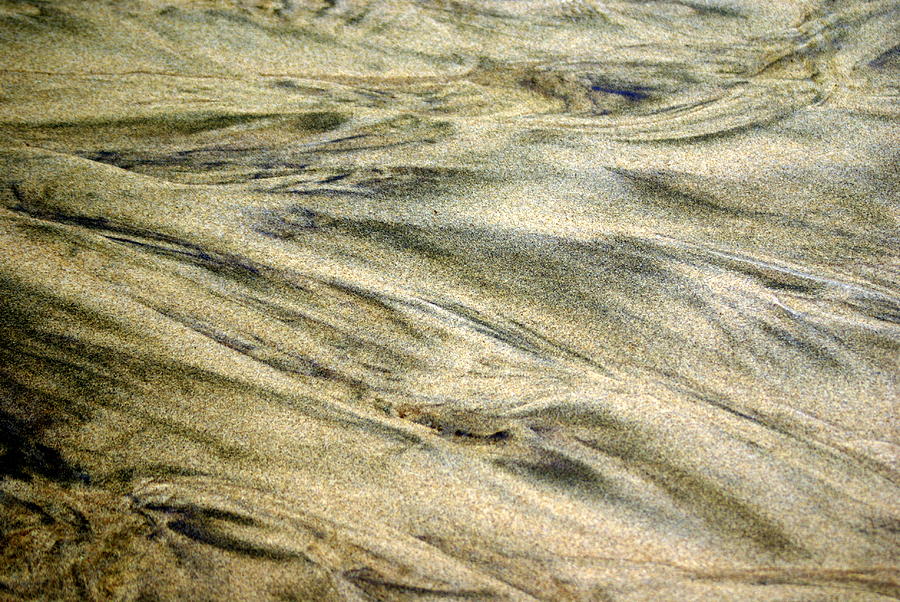 Sand Pattern Photograph by Marty Koch
