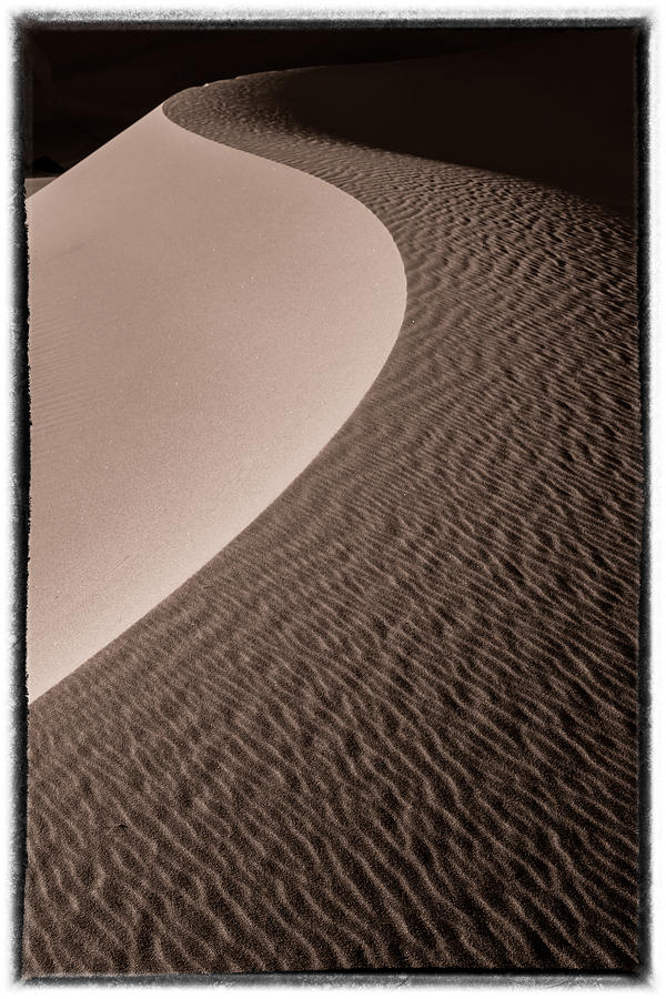 Sand Pattern sepia Photograph by Jonathan Nguyen
